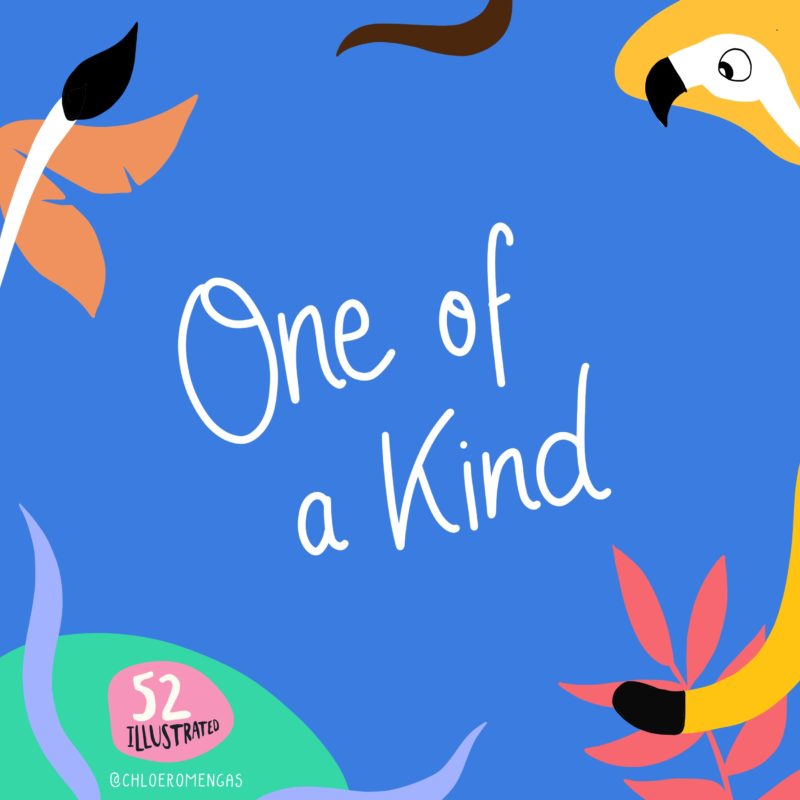 One of a kind cover